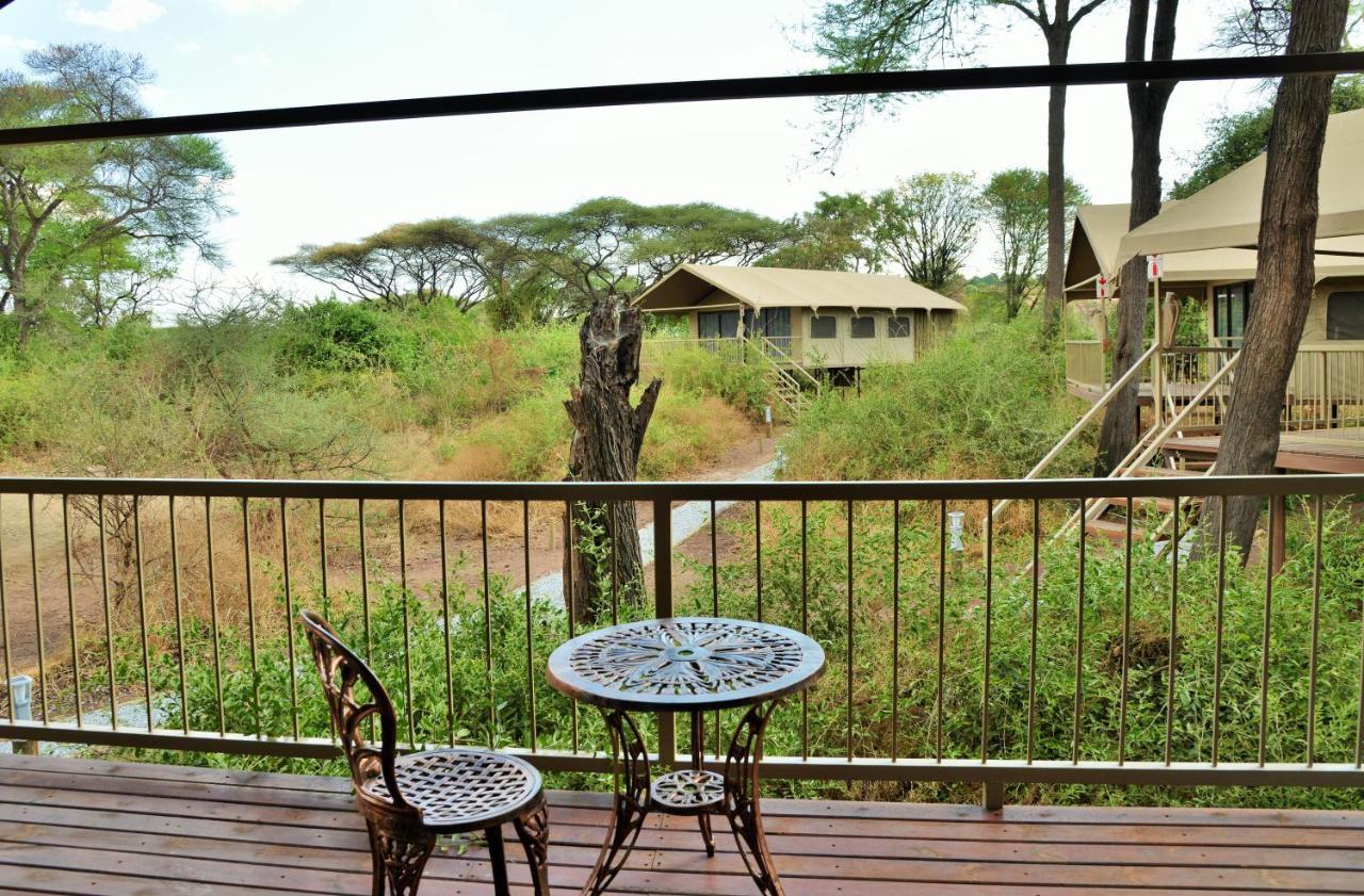 ホテル Jackalberry Chobe カサネ エクステリア 写真